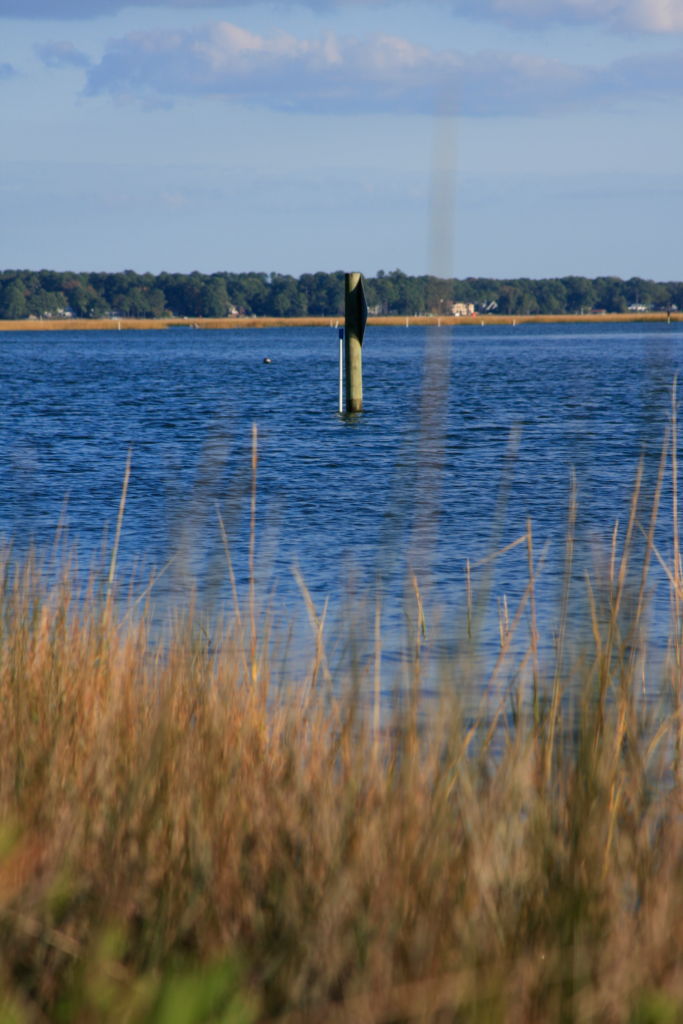 mg 1539.webp
